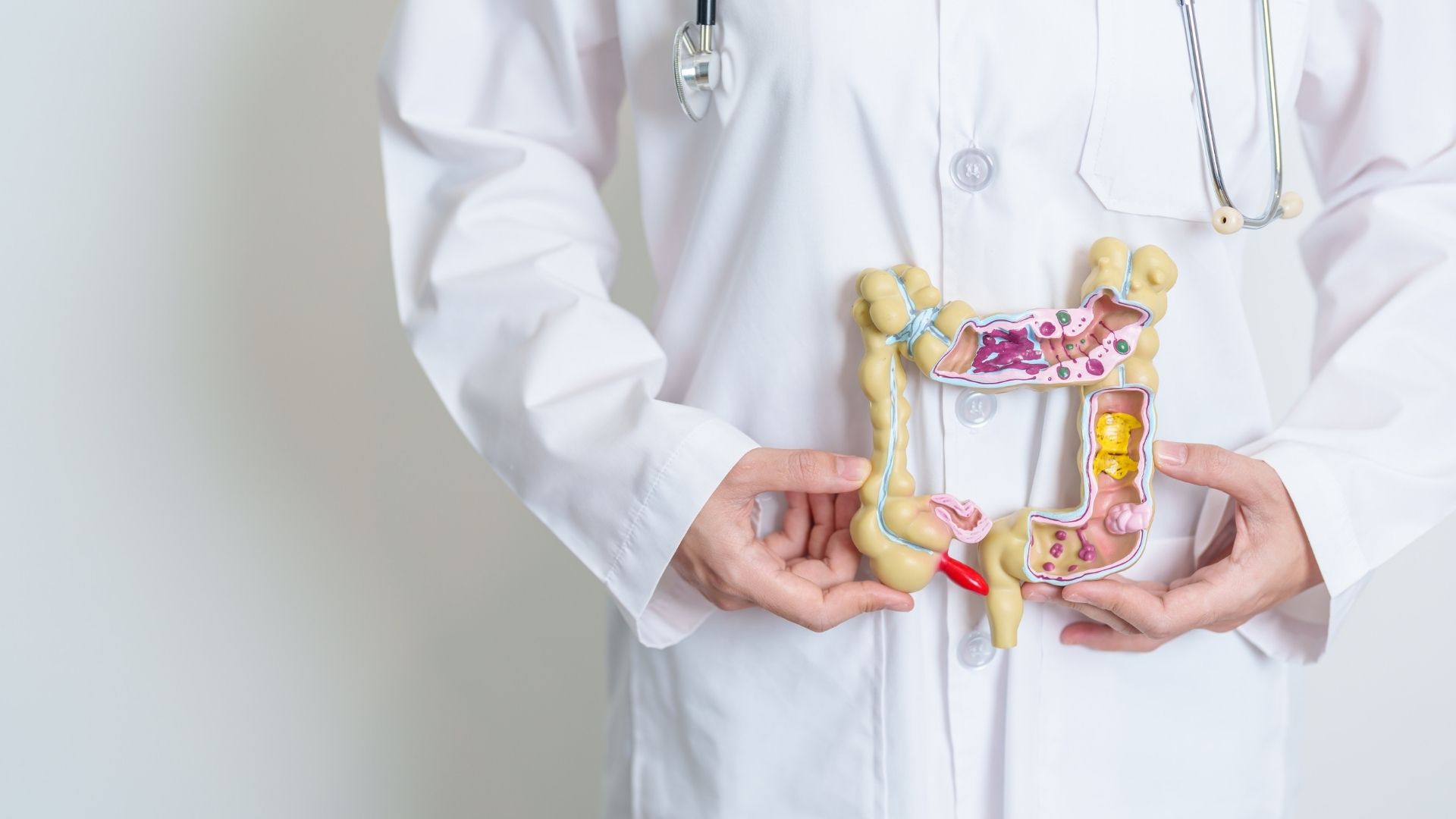 What a colonoscopy examines in the large bowel